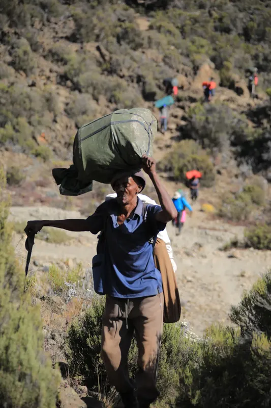 A mountain porter carrying equipment along a rocky trail